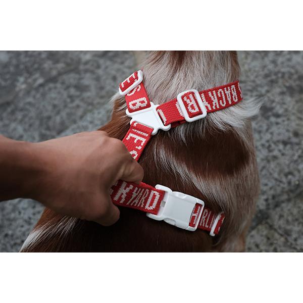 TRIP　HARNESS　M　トリップハーネスM |  | 06