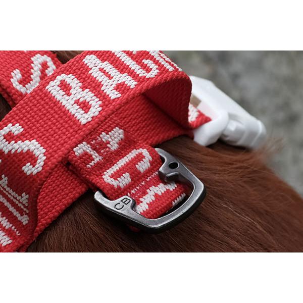 TRIP　HARNESS　M　トリップハーネスM |  | 08