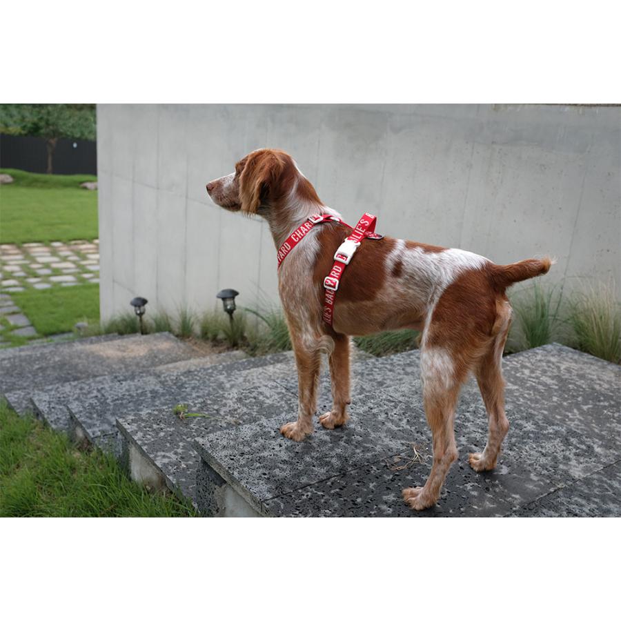 TRIP　HARNESS　M　トリップハーネスM |  | 10