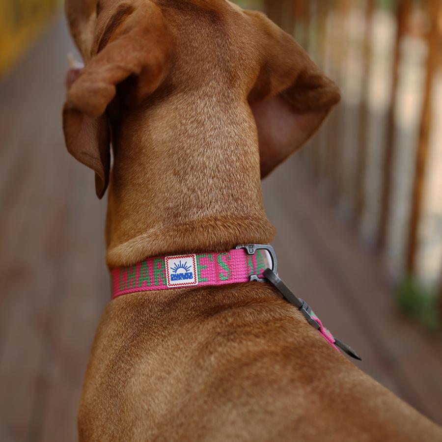 TRIP COLLAR S トリップカラーS |  | 12