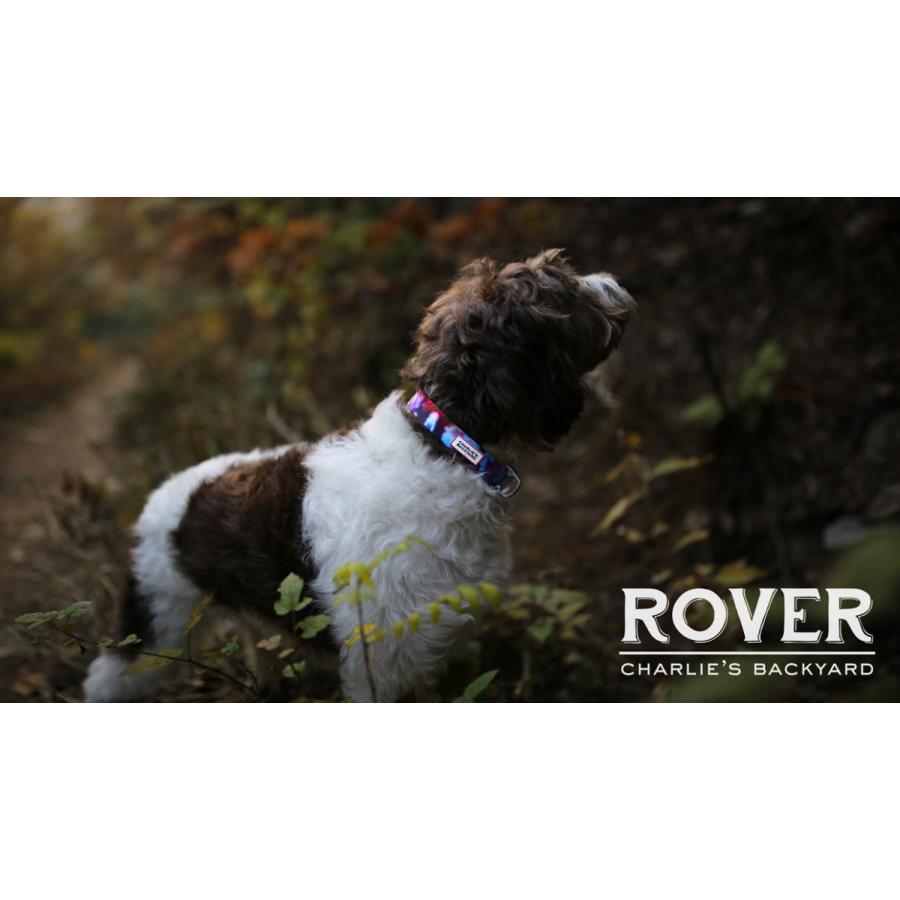 ローバーカラーL ROVER COLLAR L : n47ヤフー店 - 通販 - Yahoo!ショッピング