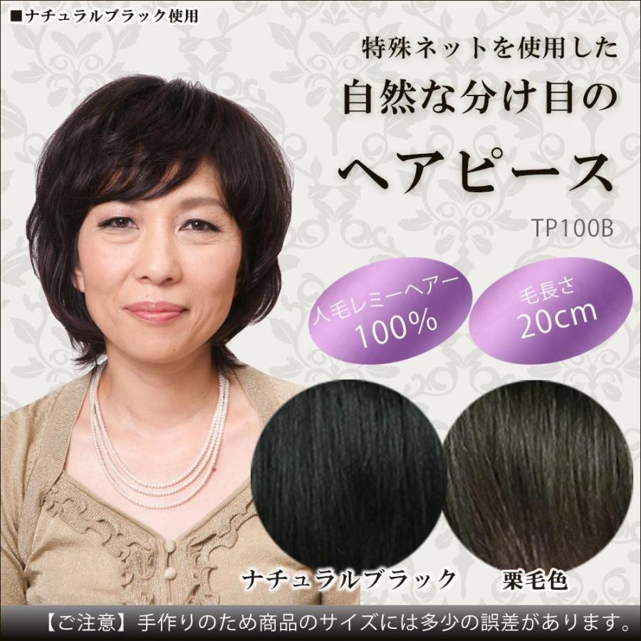 人毛100 ヘアピース 100 ブームタイプ 毛長さcm Tp100b ナチュラルブラック Www Icra Uk Net