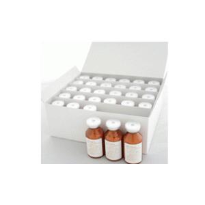 岡田征彦　 　　洋梨 岡田征彦 洋梨