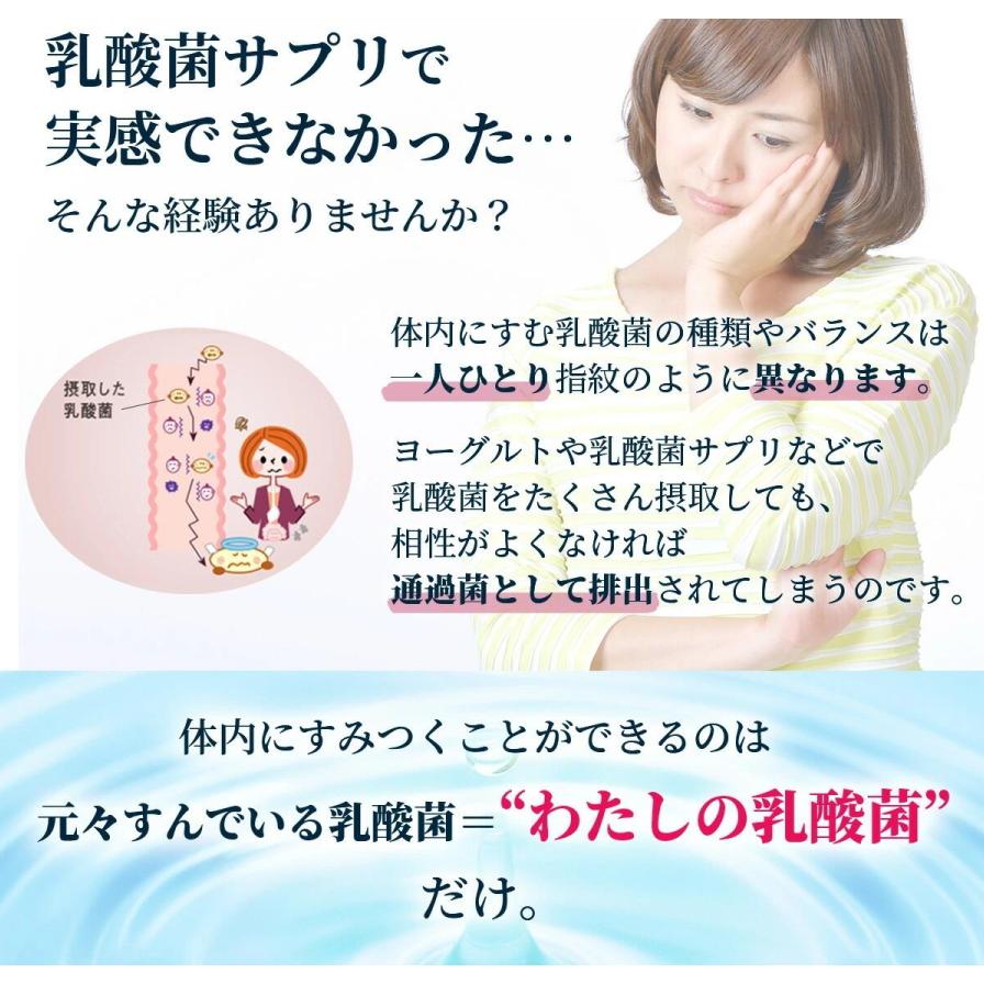 智通 乳酸菌生成エキス 生産物 30本入り 乳酸菌生成エキス 智通 （原液タイプ）10ml×30本 ヨーグルトの約1,000