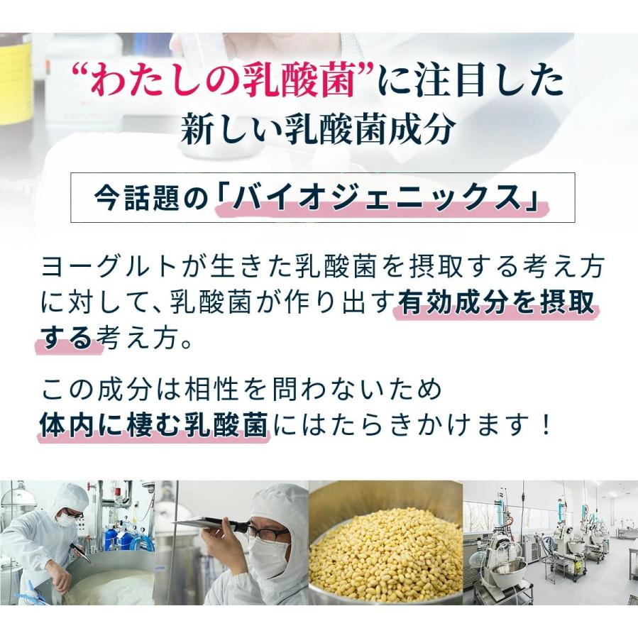 乳酸菌生成エキス 智通 （原液タイプ）10ml×30本 ヨーグルトの約1,000