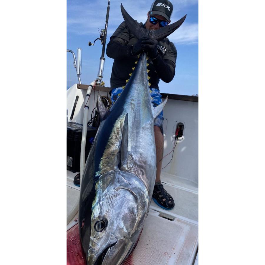 BKK RAPTOR-Z 3/0.4/0.5/0 5箱セット送料無料!! ラプターZ マグロ用