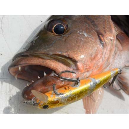 BKK RAPTOR-Z 3/0.4/0.5/0 5箱セット送料無料!! ラプターZ マグロ用