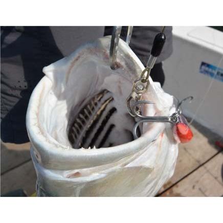 BKK RAPTOR-Z 3/0.4/0.5/0 5箱セット送料無料!! ラプターZ マグロ用