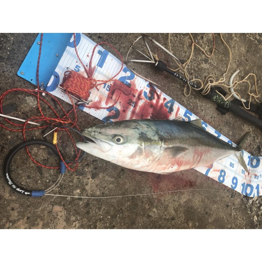 S-LINE LOOP・CRAZY(1.0mm-85cm) 魚の神経締め【大阪発ご当地メーカー
