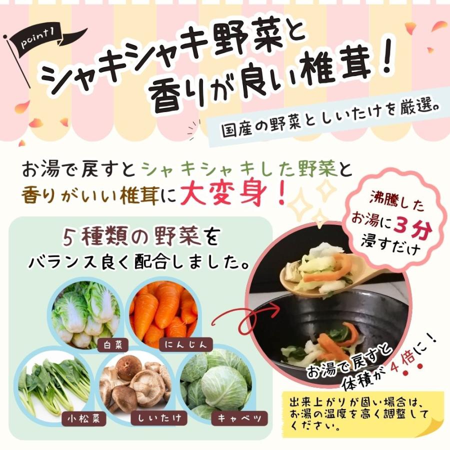 乾燥野菜 ミックス 200g 九州産しいたけ 味噌汁 長期保存 キャベツ 