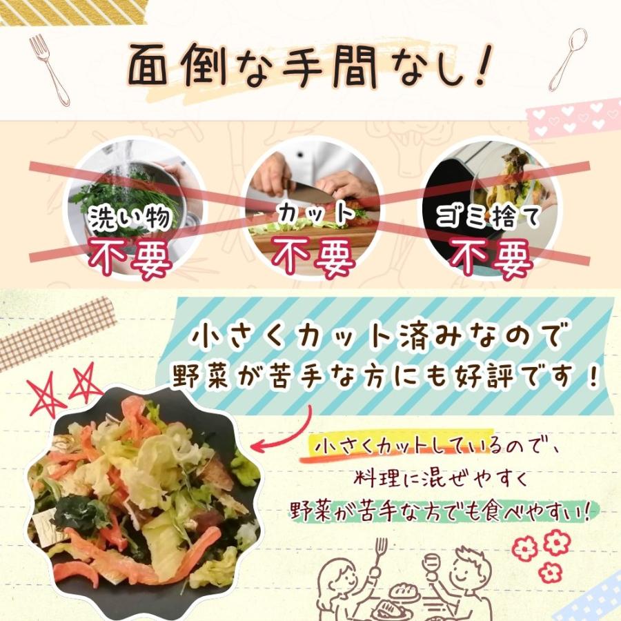 乾燥野菜 ミックス 200g 九州産しいたけ 味噌汁 長期保存 キャベツ 