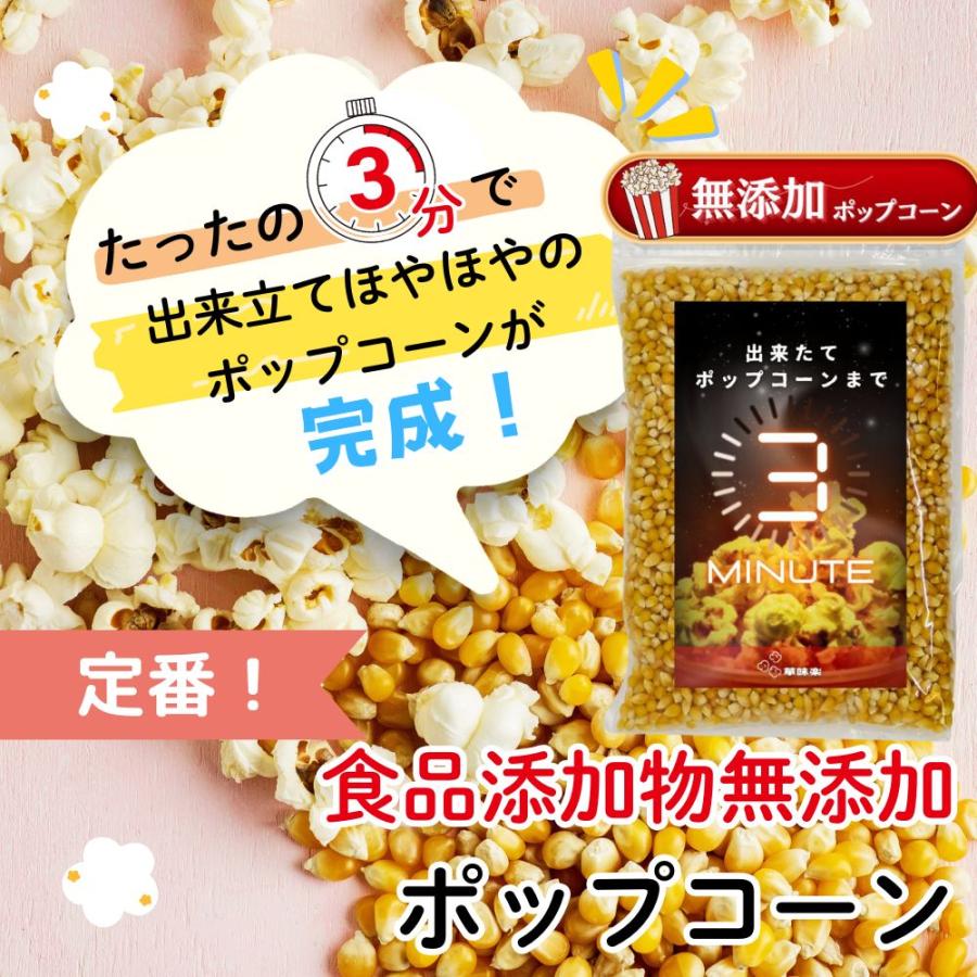 無添加 ポップコーン豆 800g 3分で出来立て 電子レンジ対応 コーン 種