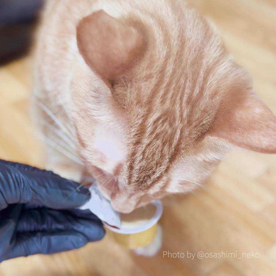 SALE1＋1個 最短賞味2026.7・アニモンダ 猫用 ミルキース ミルクポーション バラエティ 15g×4カップ 83094猫用おやつANIMONDA正規品 | アニモンダ | 04