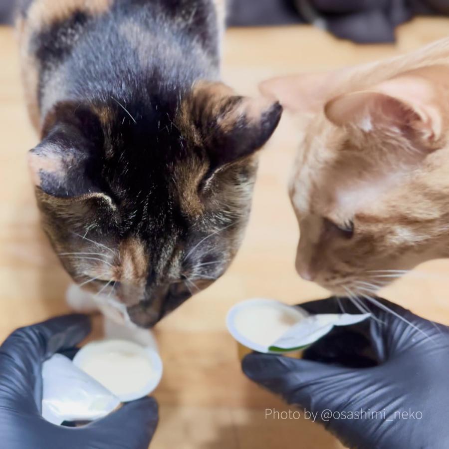 SALE1＋1個 最短賞味2026.7・アニモンダ 猫用 ミルキース ミルクポーション バラエティ 15g×4カップ 83094猫用おやつANIMONDA正規品 | アニモンダ | 05