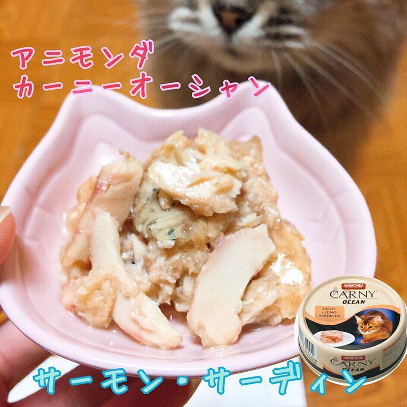 最短賞味2026.12・アニモンダ 猫 カーニーオーシャン サーモン・サーディン80g缶 83299全年齢猫用キャットフードANIMONDA正規品 | アニモンダ | 02