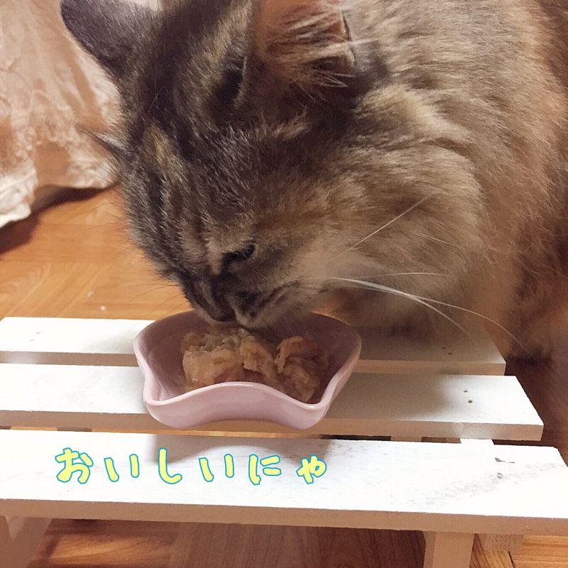 最短賞味2026.12・アニモンダ 猫 カーニーオーシャン サーモン・サーディン80g缶 83299全年齢猫用キャットフードANIMONDA正規品 | アニモンダ | 04