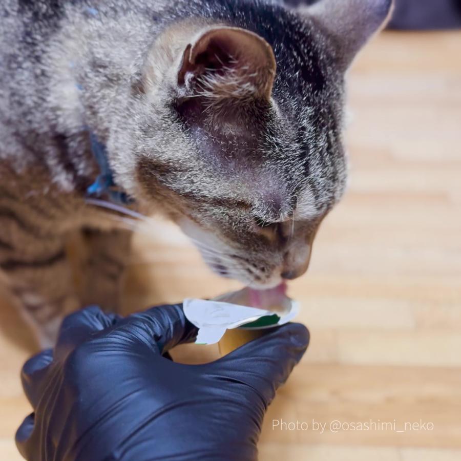 最短賞味2026.8・アニモンダ 猫用 ミルキース ミルクポーション セレクション 15g×4カップ 83419猫用おやつANIMONDA正規品 | アニモンダ | 03