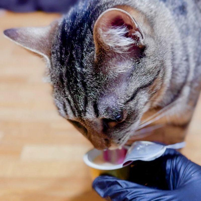 NEW 最短賞味2026.8・アニモンダ 猫用 ミルキース ミルクポーション セレクション 15g×4カップ 83419猫用おやつANIMONDA正規品 | アニモンダ | 04