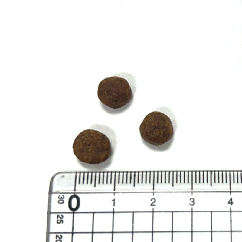 NEW 最短賞味2026.9.16・アニモンダ 猫 カーニー ドライ 高齢猫用 シニア 1.75kg/83547キャットフードANIMONDA正規品 | アニモンダ | 01