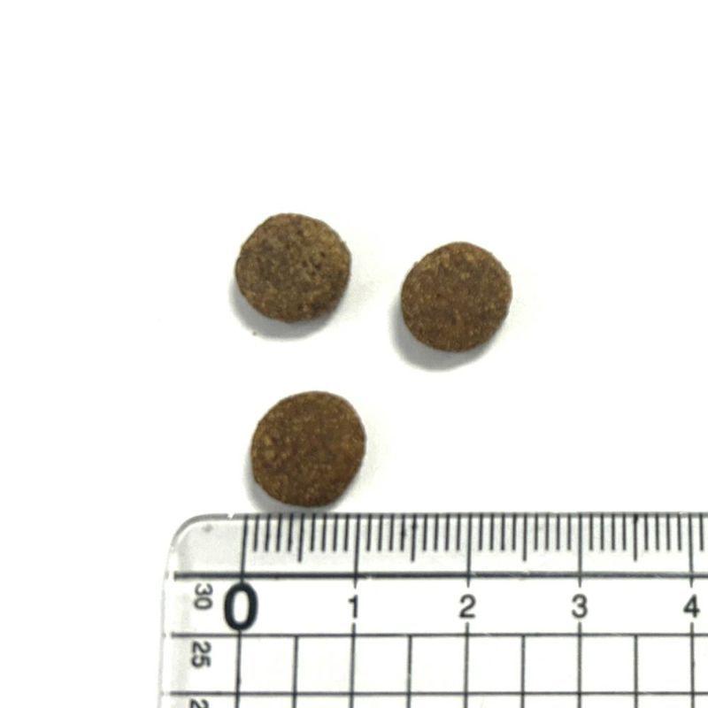 NEW 最短賞味2026.9.23・アニモンダ 猫 カーニー ドライ 成猫用 避妊・去勢済猫向け 鶏・七面鳥 350g/83549キャットフード正規品 | アニモンダ | 01