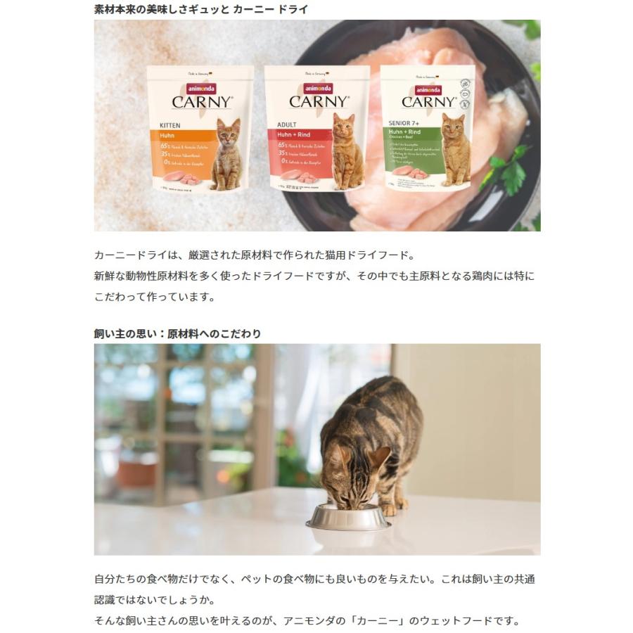 NEW 最短賞味2026.7.14・アニモンダ 猫 カーニー ドライ 成猫用 大型猫種向け 鶏・サーモン 350g/83552キャットフード正規品 | アニモンダ | 02