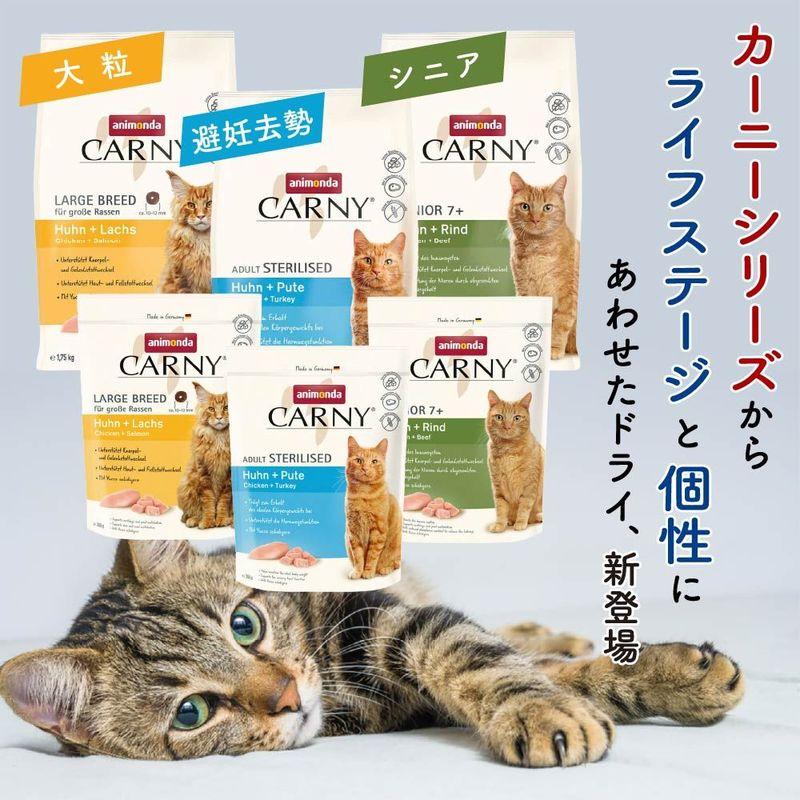 最短賞味2026.7.14・アニモンダ 猫 カーニー ドライ 成猫用 大型猫種向け 鶏・サーモン 350g/83552キャットフード正規品 | アニモンダ | 06