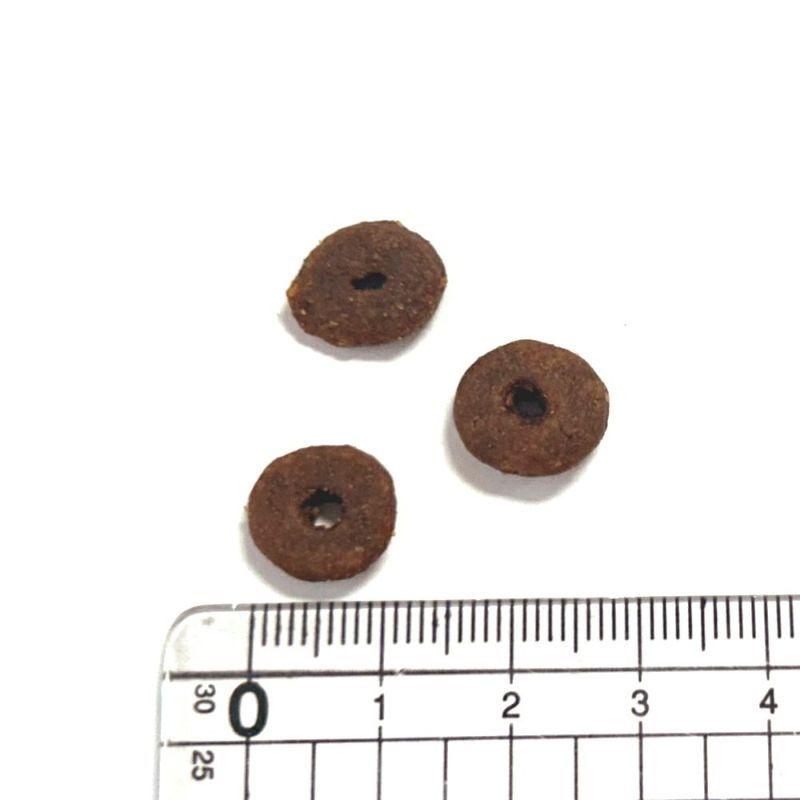 NEW 最短賞味2026.9.10・アニモンダ 猫 カーニー ドライ 成猫用 大型猫種向け 鶏・サーモン 1.75kg/83553キャットフード正規品 | アニモンダ | 01