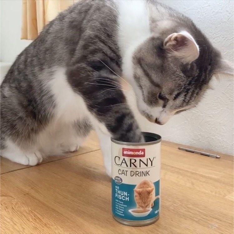 最短賞味2027.11・アニモンダ 猫 カーニー ドリンク ツナ140ml缶83592猫用スープ一般食ANIMONDA正規品 | アニモンダ | 05