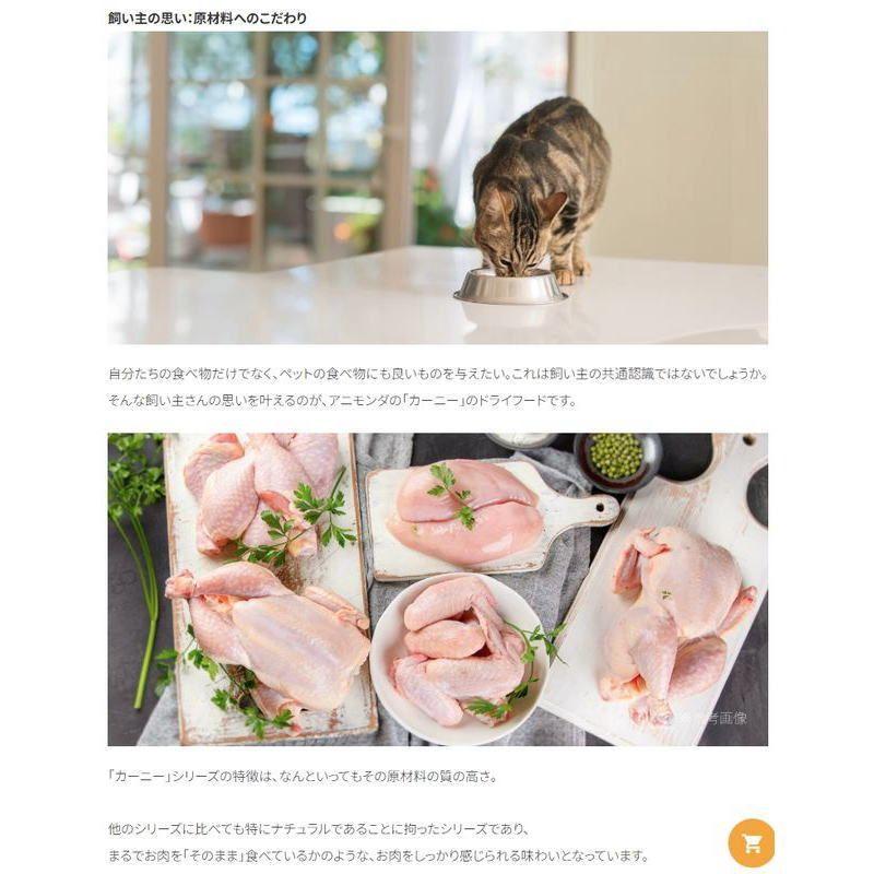 最短賞味2026.7.7・アニモンダ 猫 カーニー ドライ 成猫用 鶏・牛 1.75kg/83873キャットフードANIMONDA正規品 | アニモンダ | 06