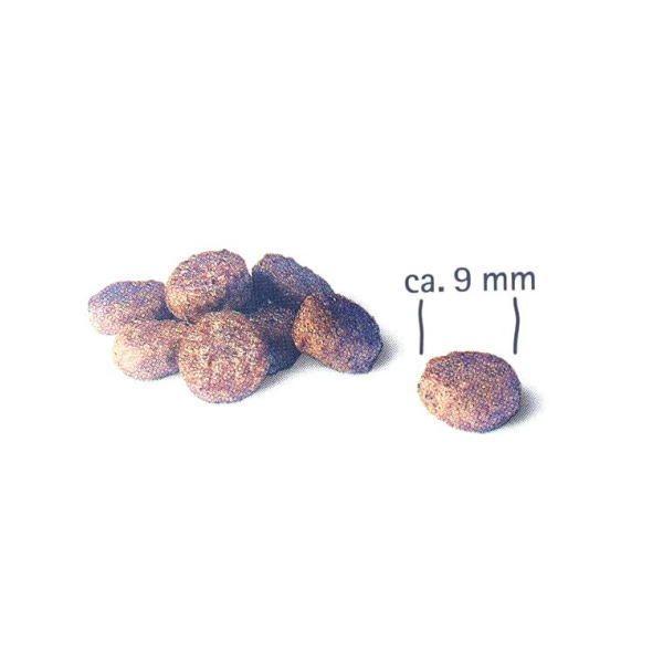 最短賞味2026.9.25・アニモンダ 猫 カーニー ドライ 成猫用 鶏・トラウト 350g/83875キャットフードANIMONDA正規品 | アニモンダ | 01