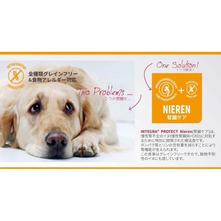 正規通販 最短賞味24 2 アニモンダ 犬 腎臓ケア 鶏 150g インテグラ ニーレン ドッグフード ウェットanimonda正規品 Shipsctc Org