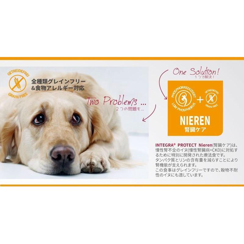 最短賞味2028.2・アニモンダ 犬 インテグラプロテクト ニーレン腎臓ケア(牛)400g 86404ドッグフード ウェットANIMONDA正規品 | アニモンダ | 02