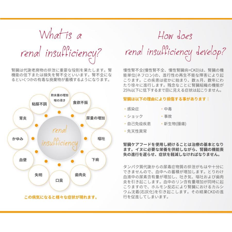 最短賞味2027.1・アニモンダ 犬 腎臓ケア(牛)400g 86404インテグラ ニーレン ドッグフード ウェットANIMONDA正規品 | アニモンダ | 03