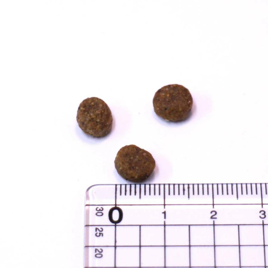 最短賞味2027.2.28・アニモンダ 猫 胃腸ケア300gドライ86876インテグラプロテクトANIMONDA正規品 | アニモンダ | 01