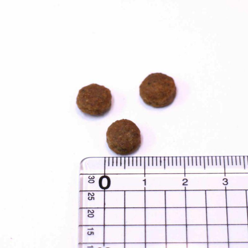 最短賞味2027.3.3・アニモンダ 猫 糖尿ケア ドライ 300g 86920キャットフード インテグラANIMONDA正規品 | アニモンダ | 01