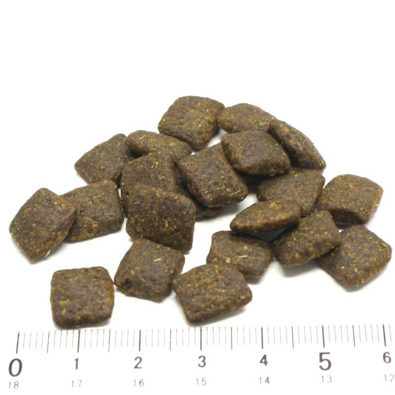 最短賞味2027.5.10・アートゥー サーモン1.5kg犬用ドライ穀物不使用ドッグフードAATU正規品aa11909 | アートゥー | 01