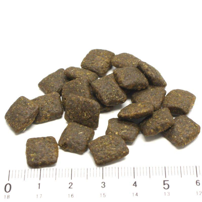 おまけ付き！最短賞味2027.2.19・リニューアル品アートゥー サーモン 10kg犬用ドライ穀物不使用ドッグフードAATU正規品aa11923 | アートゥー | 01