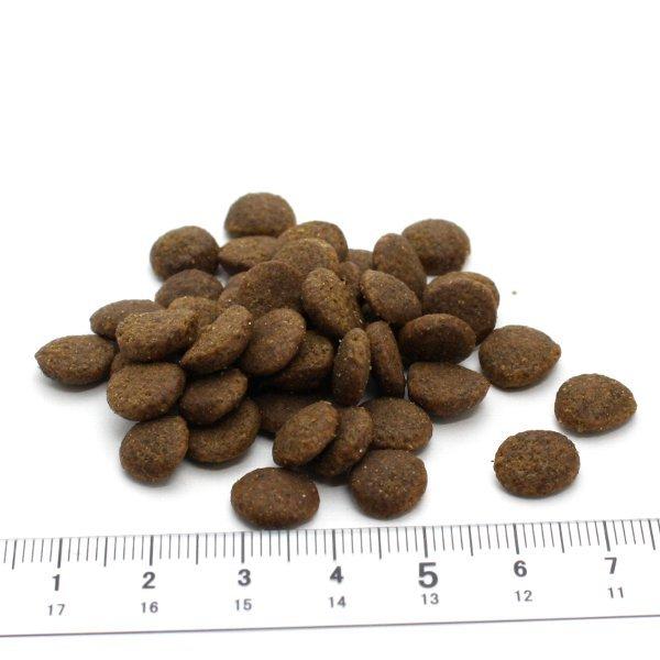 最短賞味2027.5.24・アートゥー キャットフード チキン3kg成猫用グレインフリーAATU正規品aa12098※在庫限り終売 | アートゥー | 01