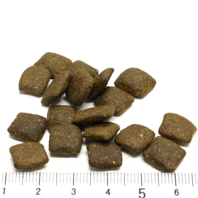 おまけ付き！最短賞味2027.2.19・リニューアル品アートゥー ターキー 5kg 犬用ドライAATU正規品aa13088 | アートゥー | 01