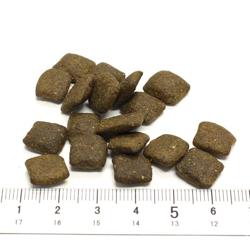 おまけ付き！最短賞味2027.5.24・アートゥー ターキー 10kg 犬用ドライAATU正規品aa13095 | アートゥー | 01