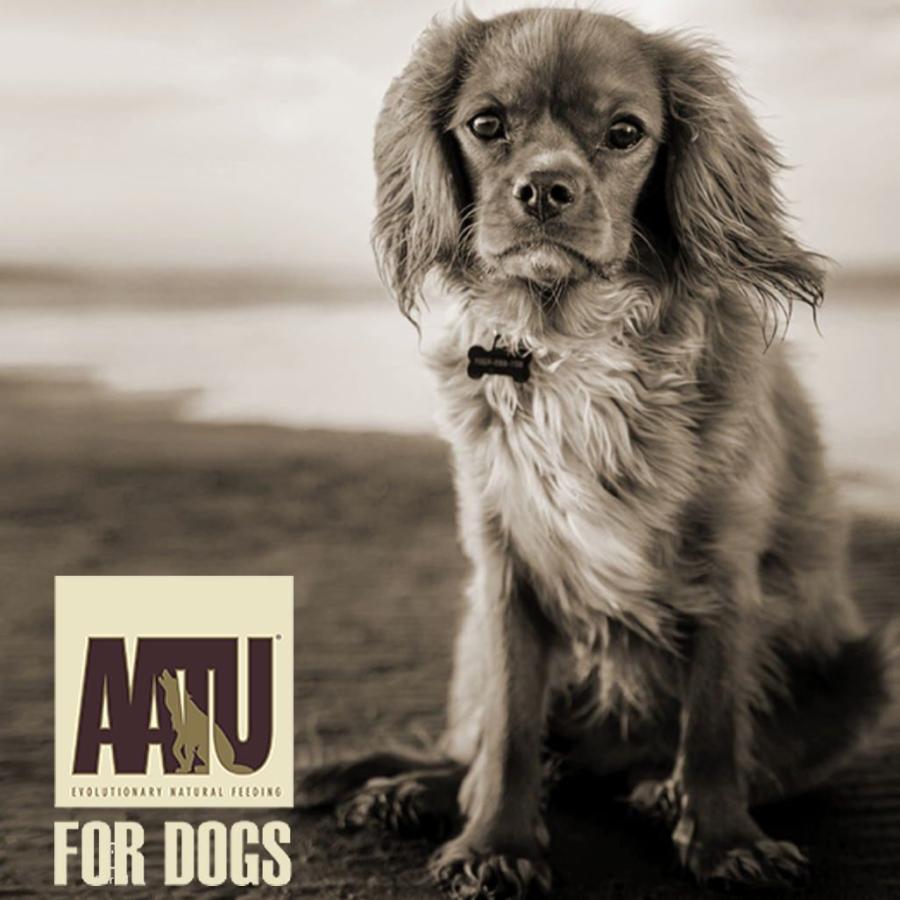 最短賞味2028.5・AATU アートゥー 90％アンガスビーフ 400g缶 成犬用ウェット 総合栄養食 正規品 aa14580 | アートゥー | 05