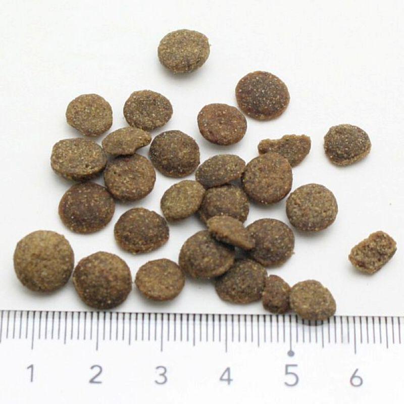 NEW 最短賞味2027.6.20・アディクション 猫 サーモンブルー 50g全猫種全年齢用 有料サンプル正規品adc12004 | YKエンタープライズ | 01