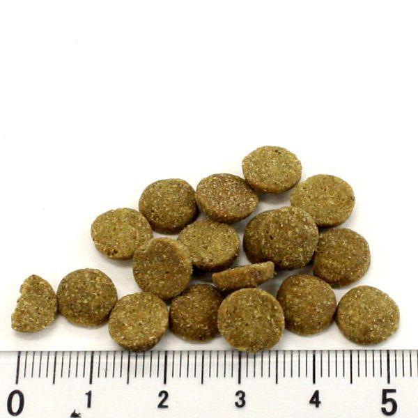 最短賞味2027.8.15・アディクション 猫 ワイルドアイランズ キャット パシフィックキャッチ300g全年齢猫用ドライ正規品adc12070 | YKエンタープライズ | 02