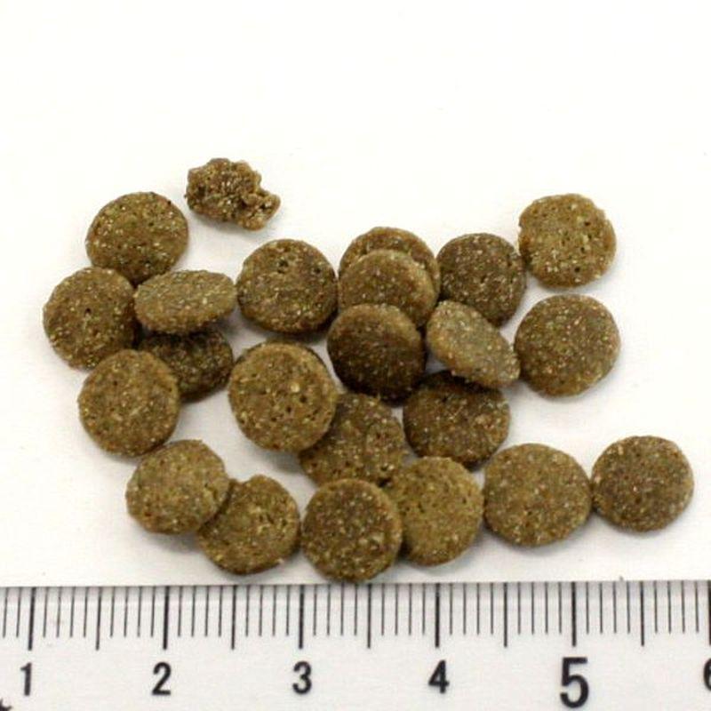 NEW 最短賞味2027.8.21・アディクション 猫 ワイルドアイランズ キャット フォレストミート50g全年齢猫用 有料サンプル正規品adc12100 | YKエンタープライズ | 01