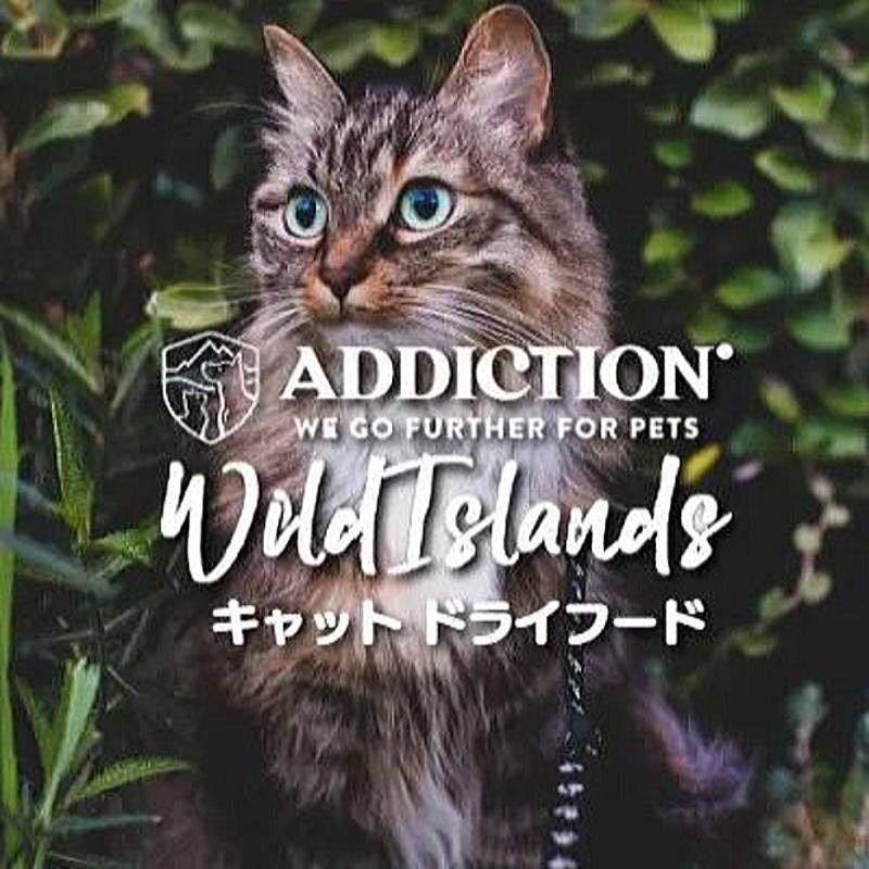NEW 最短賞味2027.8.21・アディクション 猫 ワイルドアイランズ キャット フォレストミート50g全年齢猫用 有料サンプル正規品adc12100 | YKエンタープライズ | 06