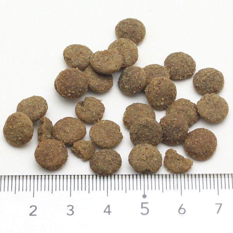 NEW 最短賞味2027.1.5・アディクション 猫 ビバ・ラ・ベニソン 50g全年齢猫用 有料サンプル正規品adc12103 | YKエンタープライズ | 01