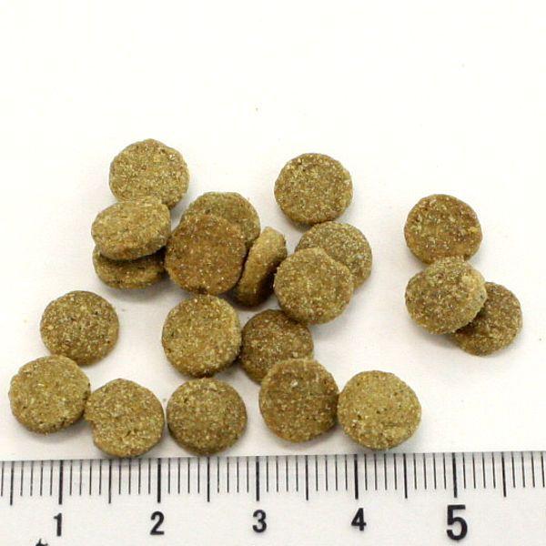 最短賞味2027.5.10・アディクション 猫 ワイルドアイランズ キャット アイランドバーズ300g全年齢猫用ドライ正規品adc12872 | YKエンタープライズ | 02