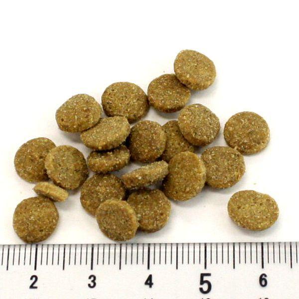 最短賞味2027.5.9・アディクション 猫 ワイルドアイランズ キャット ハイランドミーツ1.8kg成猫用ドライ正規品adc79274 | YKエンタープライズ | 02