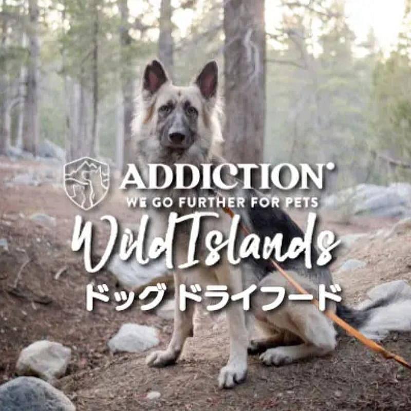 NEW 最短賞味2027.5.18・アディクション 犬 ワイルドアイランズ ドッグ パシフィックキャッチ50g全年齢犬用 有料サンプル正規品add11004 | YKエンタープライズ | 06