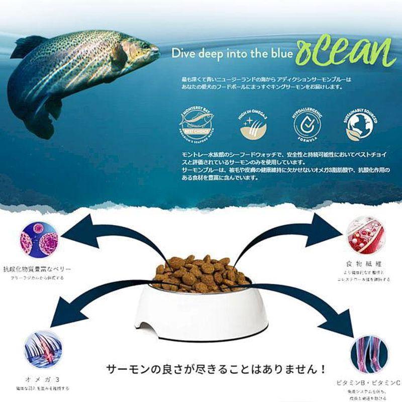 NEW 最短賞味2027.7.5・アディクション 犬 サーモンブルー 50g全年齢犬用 有料サンプル正規品add11007 | YKエンタープライズ | 04